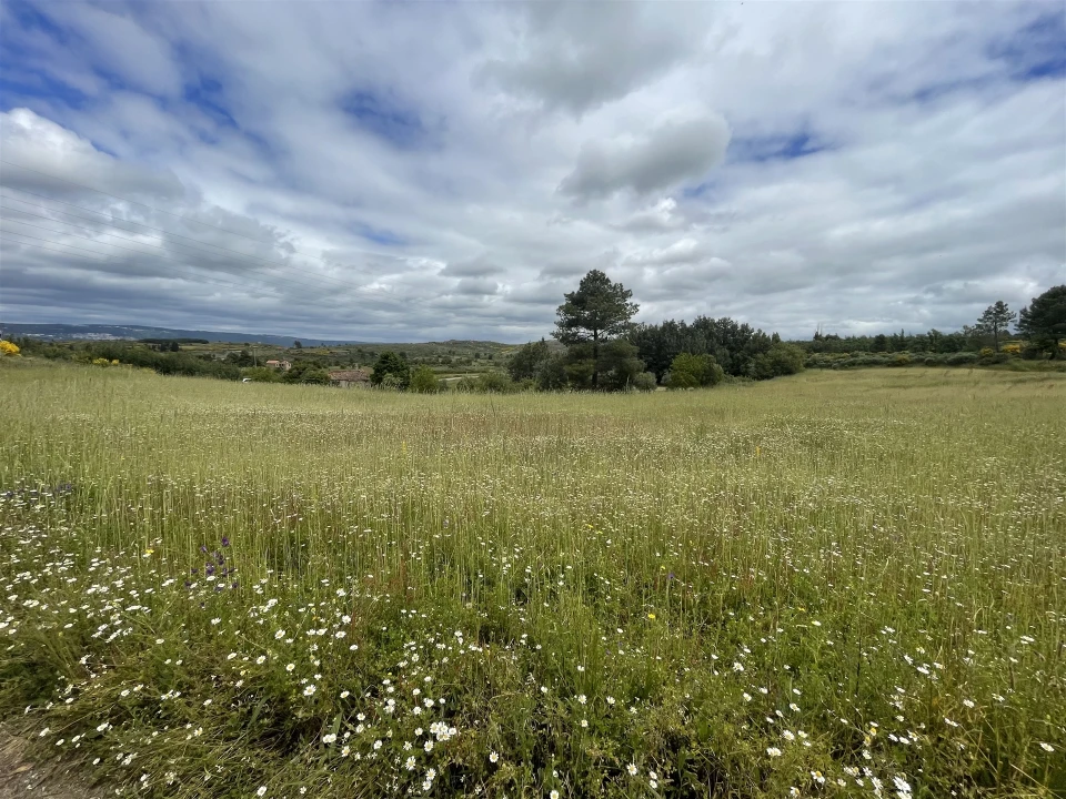 Quinta T0 para Venda em Vila Cortes da Serra Foto 8