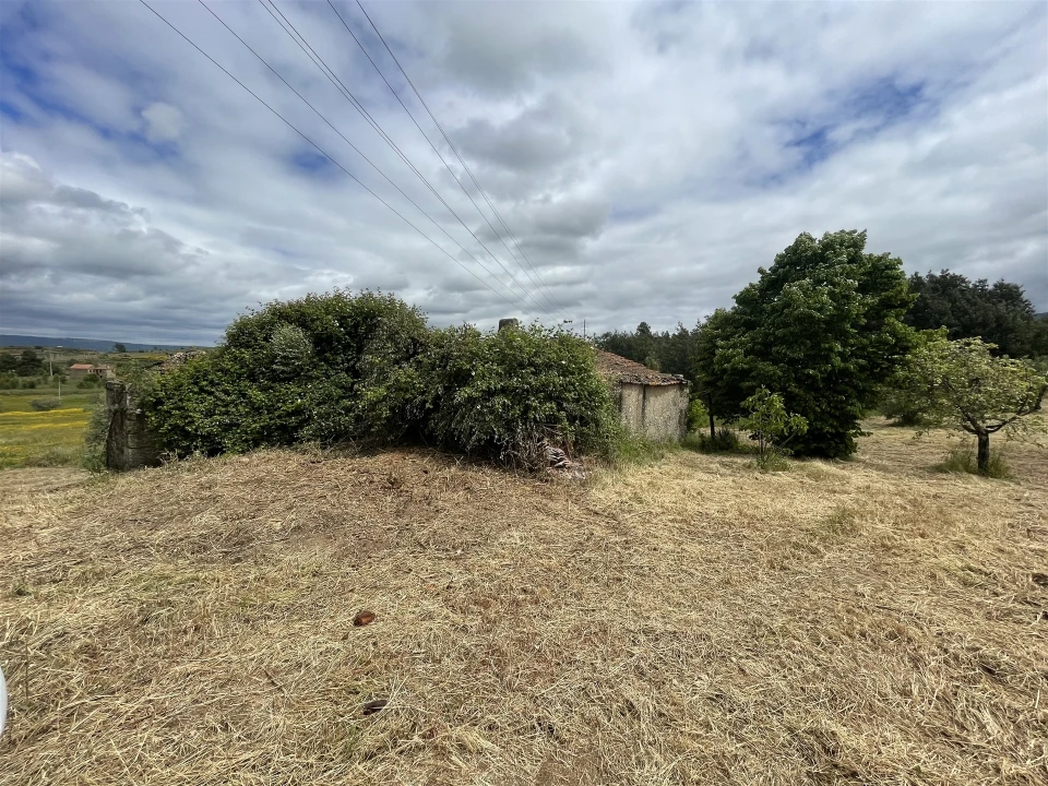 Quinta T0 para Venda em Vila Cortes da Serra Foto 6