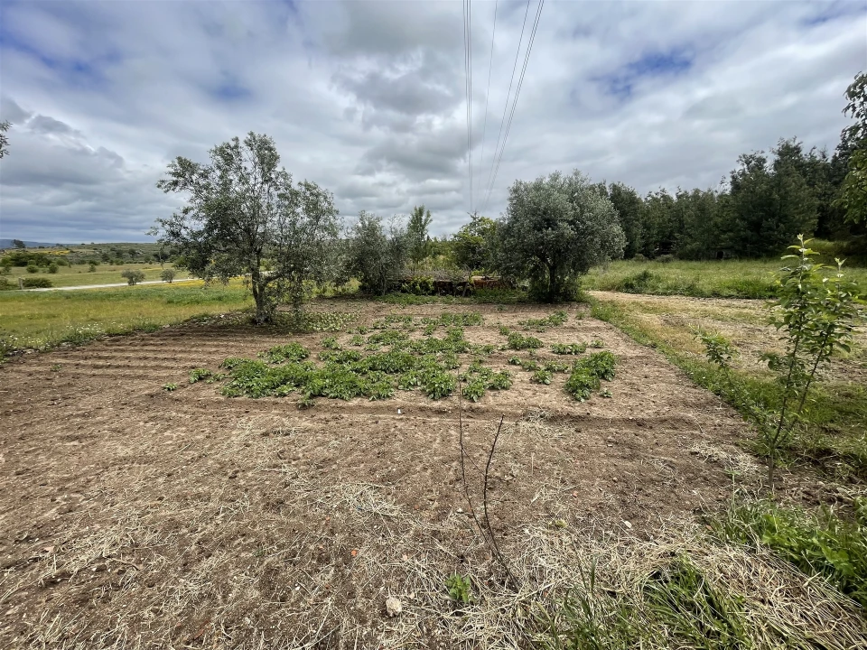 Quinta T0 para Venda em Vila Cortes da Serra Foto 14