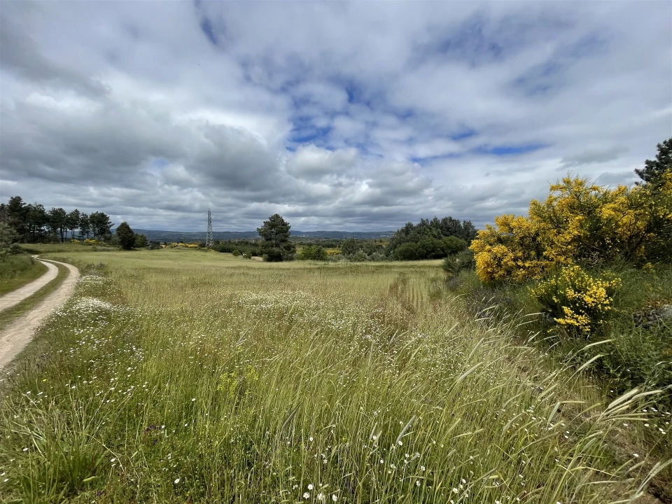 Quinta T0 para Venda em Vila Cortes da Serra Foto 7