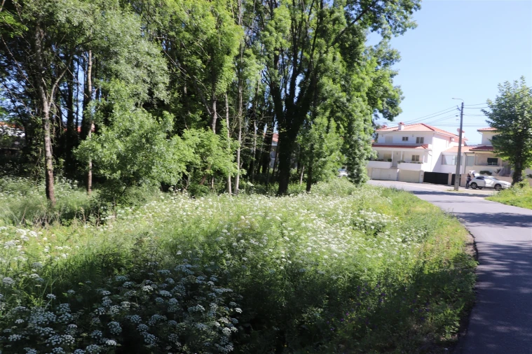 Terreno para Venda em Santa Eulália Foto 9