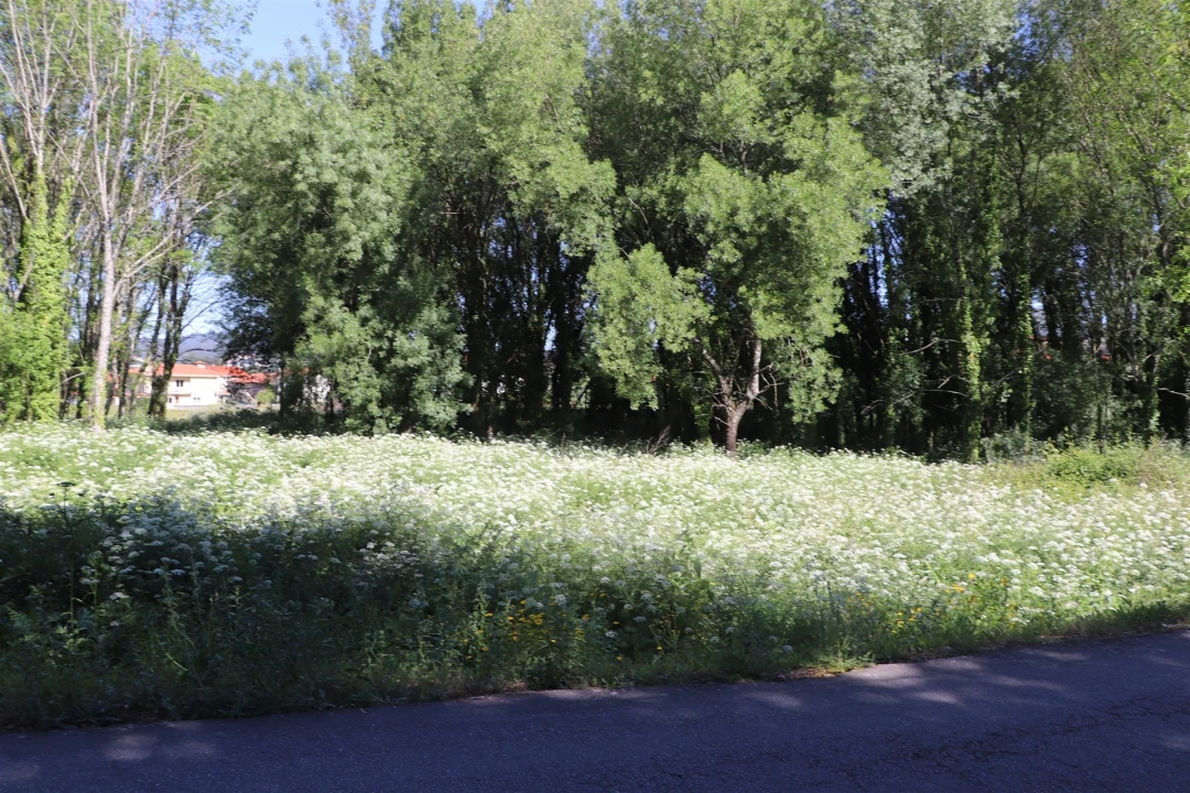Terreno para Venda em Santa Eulália Foto 6