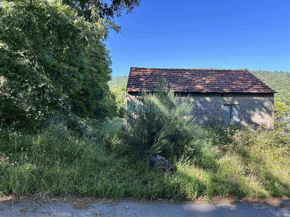 Moradia T0 para Venda em Pena, Quintã e Vila Cova Foto 2