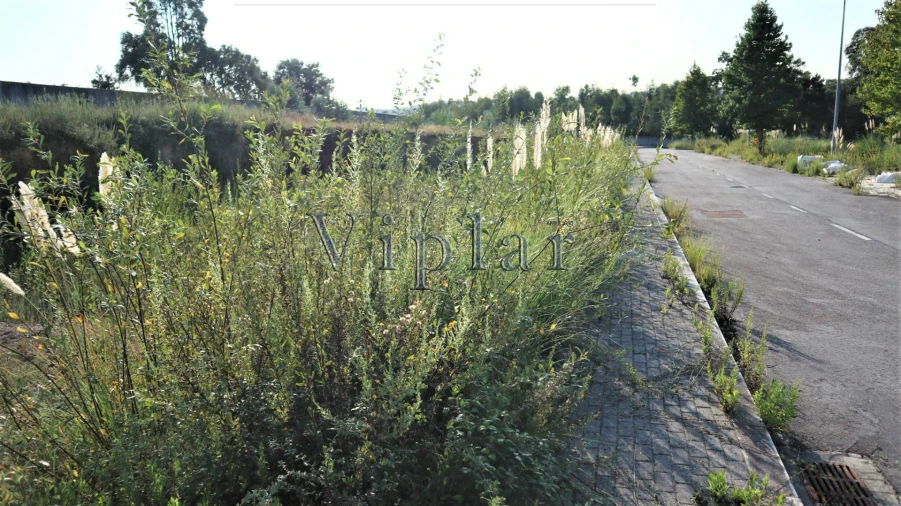 Terreno para Venda em Baguim do Monte (Rio Tinto) Foto 2