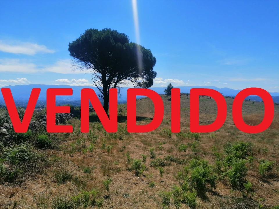 Terreno Agricola ou Rústico para Venda em Santiago de Cassurrães e Póvoa de Cervães Foto 1