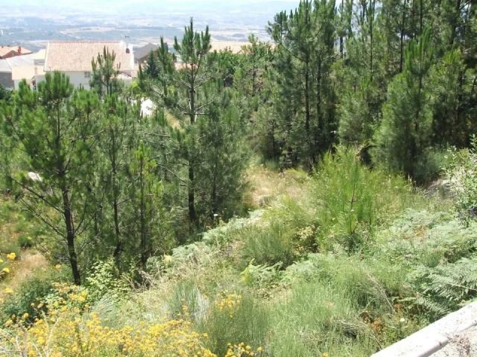Terreno para Venda em Aldeia de São Francisco de Assis Foto 1