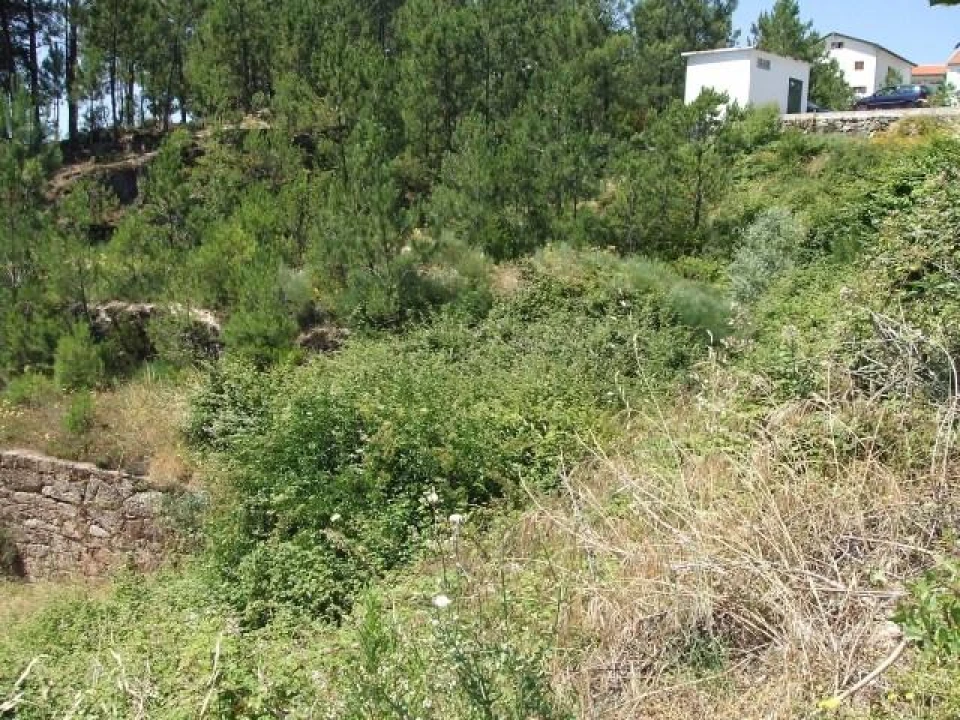 Terreno para Venda em Aldeia de São Francisco de Assis Foto 3