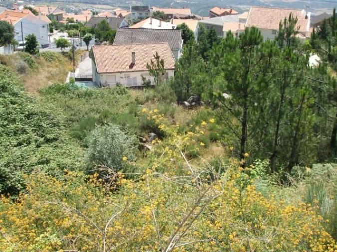 Terreno para Venda em Aldeia de São Francisco de Assis Foto 4