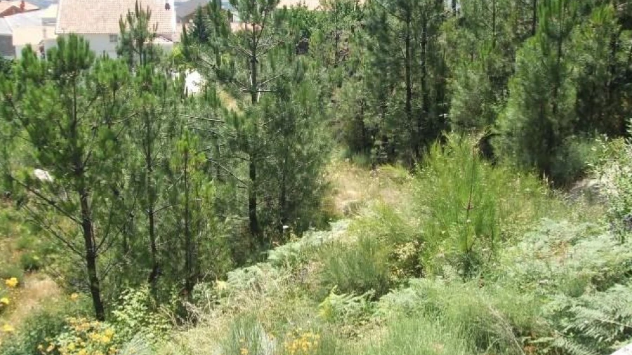 Terreno para Venda em Aldeia de São Francisco de Assis