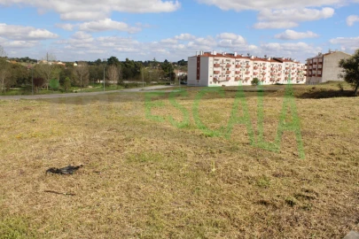 Terreno para Venda em Cartaxo e Vale da Pinta