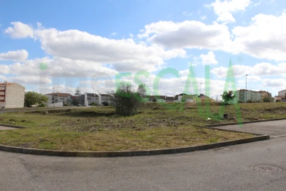 Terreno para Venda em Cartaxo e Vale da Pinta