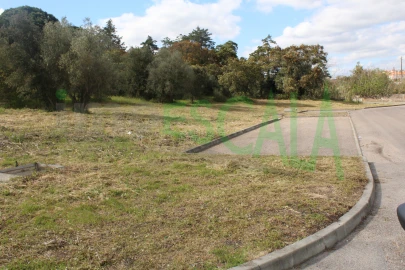 Terreno para Venda em Cartaxo e Vale da Pinta