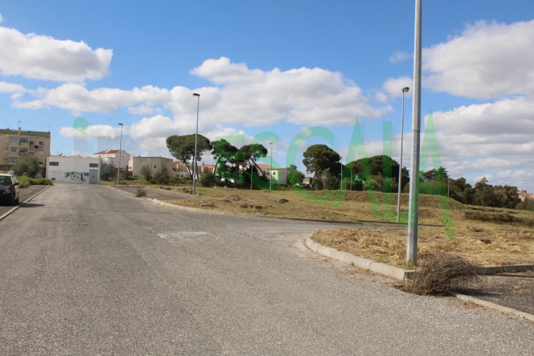 Terreno para Venda em Cartaxo e Vale da Pinta Foto 7