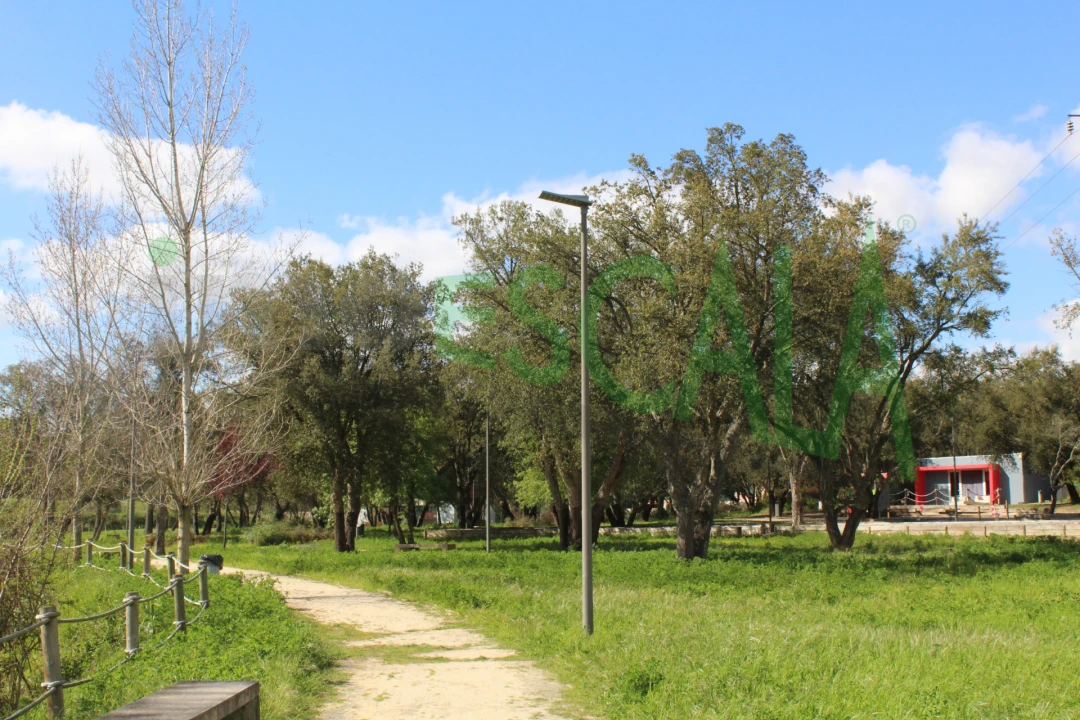 Terreno para Venda em Cartaxo e Vale da Pinta Foto 22