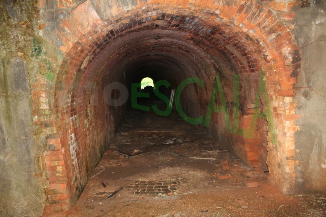 Negócio para Venda em Povoa da Isenta Foto 12