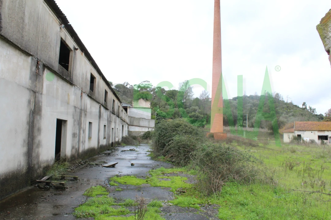 Negócio para Venda em Povoa da Isenta Foto 17