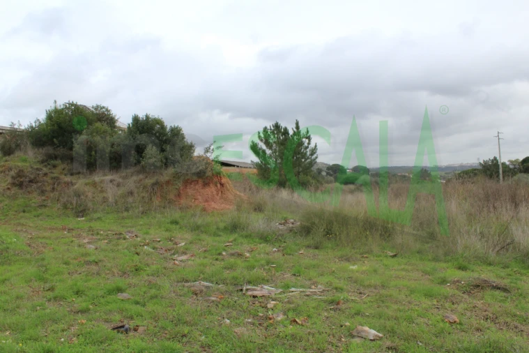 Negócio para Venda em Povoa da Isenta Foto 25