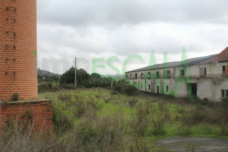 Negócio para Venda em Povoa da Isenta Foto 10