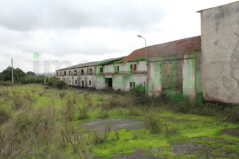 Negócio para Venda em Povoa da Isenta Foto 9