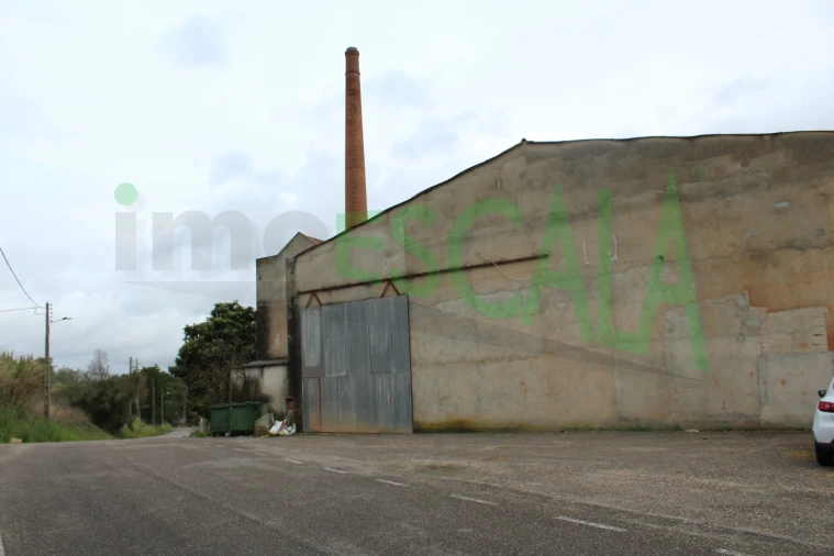 Negócio para Venda em Povoa da Isenta Foto 24