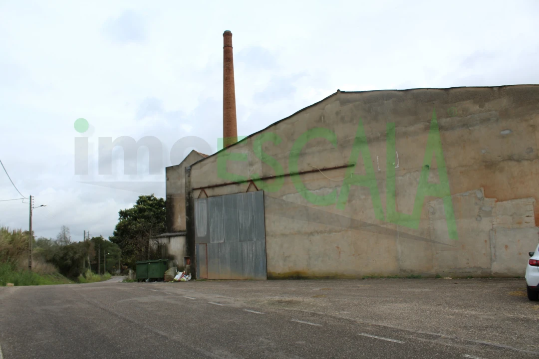 Negócio para Venda em Povoa da Isenta Foto 24