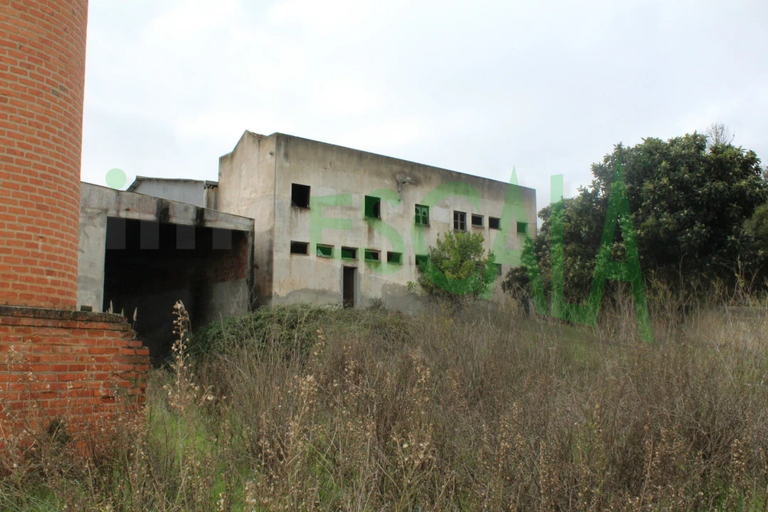 Negócio para Venda em Povoa da Isenta Foto 11