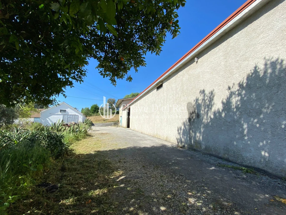 Armazém para Arrendamento em Orgens Foto 3