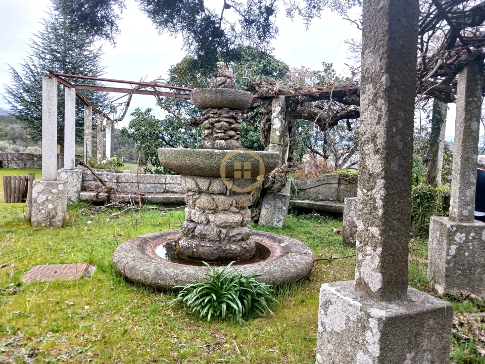 Quinta T20 para Venda em Abrunhosa-A-Velha Foto 32