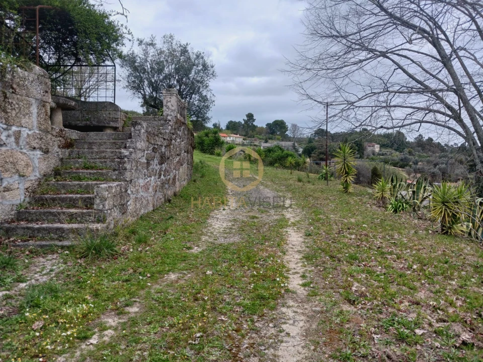 Quinta T20 para Venda em Abrunhosa-A-Velha Foto 36