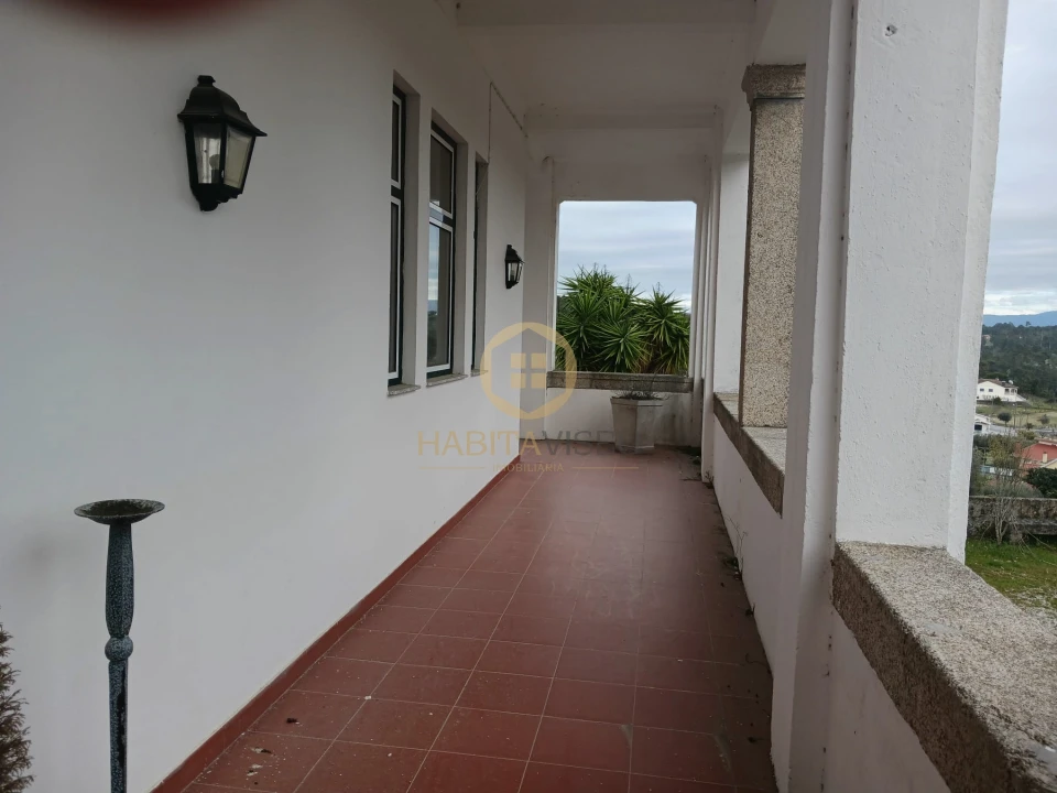 Quinta T20 para Venda em Abrunhosa-A-Velha Foto 10