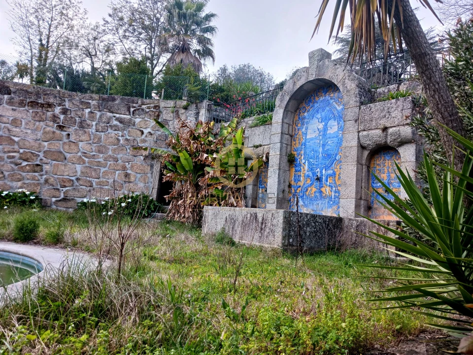 Quinta T20 para Venda em Abrunhosa-A-Velha Foto 29