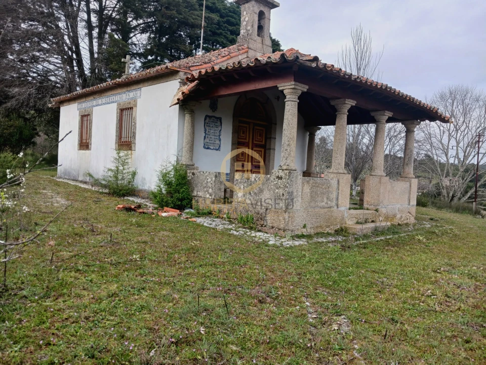 Quinta T20 para Venda em Abrunhosa-A-Velha Foto 42