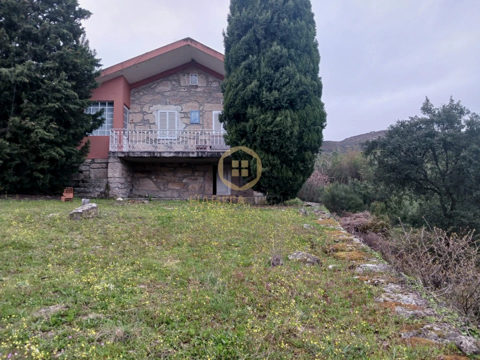 Quinta T20 para Venda em Abrunhosa-A-Velha Foto 39