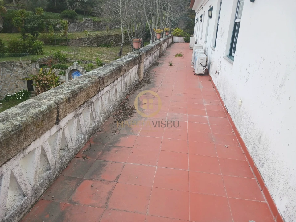 Quinta T20 para Venda em Abrunhosa-A-Velha Foto 12