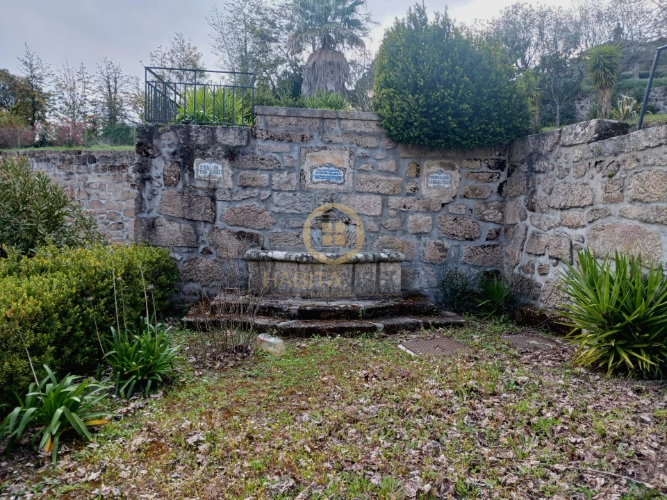 Quinta T20 para Venda em Abrunhosa-A-Velha Foto 35