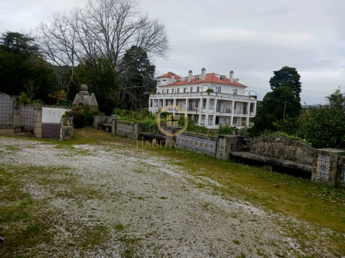 Quinta T20 para Venda em Abrunhosa-A-Velha Foto 2