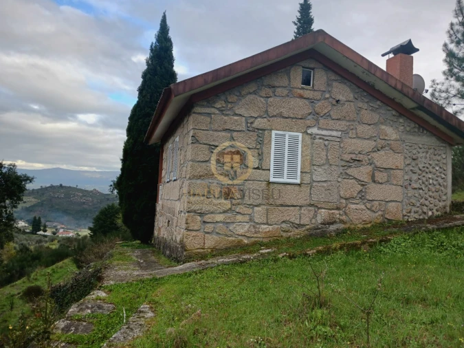 Quinta T20 para Venda em Abrunhosa-A-Velha Foto 38