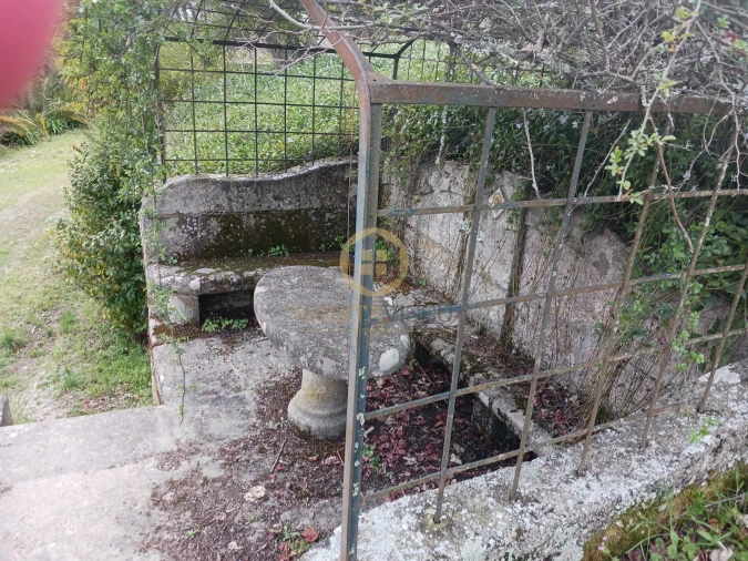 Quinta T20 para Venda em Abrunhosa-A-Velha Foto 49