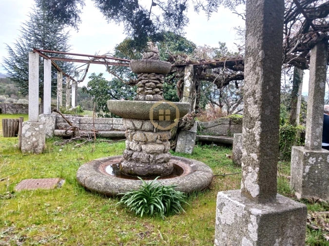 Quinta T20 para Venda em Abrunhosa-A-Velha Foto 32