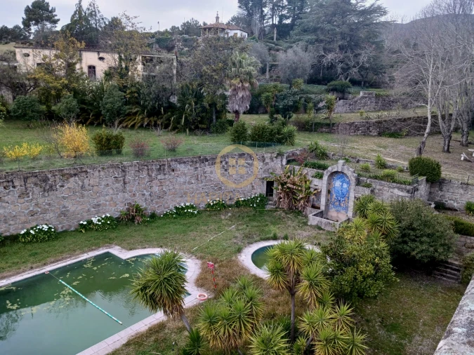 Quinta T20 para Venda em Abrunhosa-A-Velha Foto 25