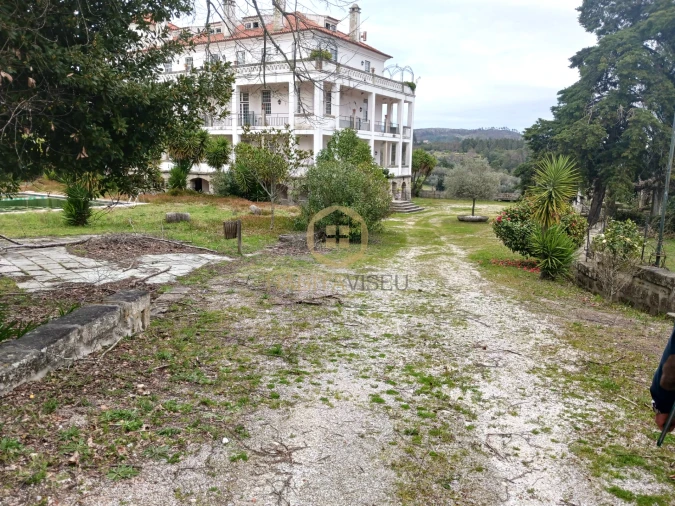 Quinta T20 para Venda em Abrunhosa-A-Velha Foto 1