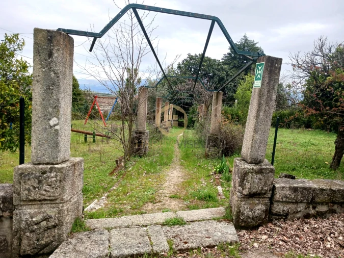 Quinta T20 para Venda em Abrunhosa-A-Velha Foto 54