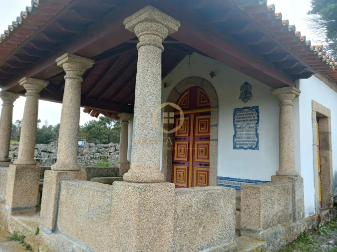 Quinta T20 para Venda em Abrunhosa-A-Velha Foto 43