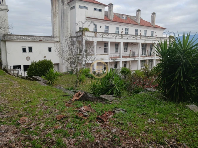 Quinta T20 para Venda em Abrunhosa-A-Velha Foto 4