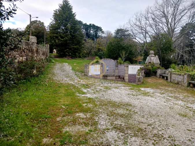 Quinta T20 para Venda em Abrunhosa-A-Velha Foto 34