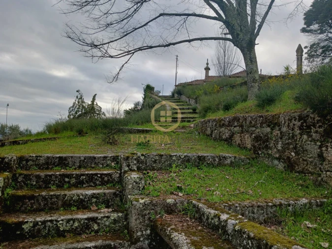 Quinta T20 para Venda em Abrunhosa-A-Velha Foto 53