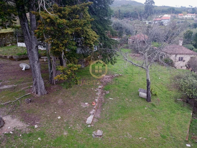 Quinta T20 para Venda em Abrunhosa-A-Velha Foto 50