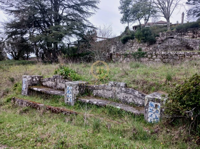 Quinta T20 para Venda em Abrunhosa-A-Velha Foto 30