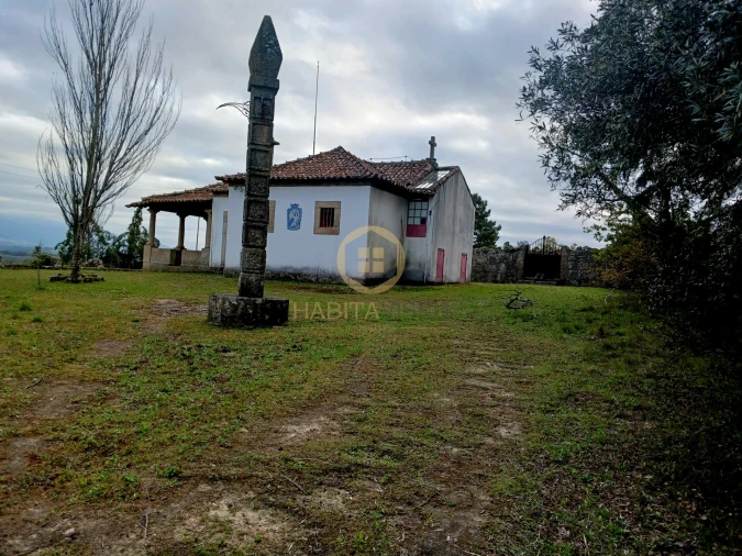 Quinta T20 para Venda em Abrunhosa-A-Velha Foto 41