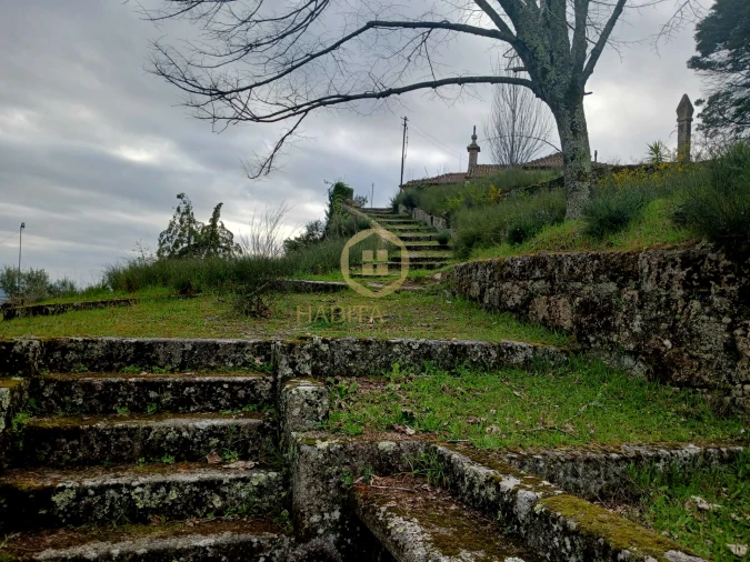 Quinta T20 para Venda em Abrunhosa-A-Velha Foto 40